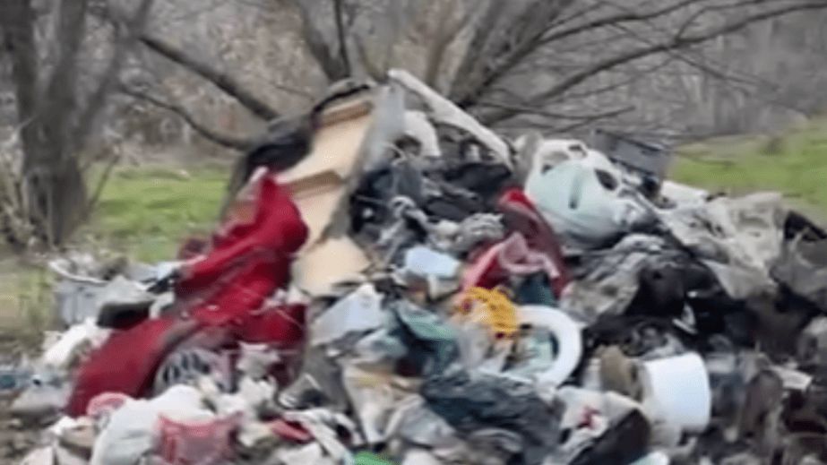 Зелену зону в Запоріжжі завалили мотлохом: прибирали екскаватором