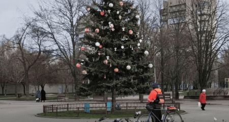 Вандали обібрали міську ялинку в Запоріжжі