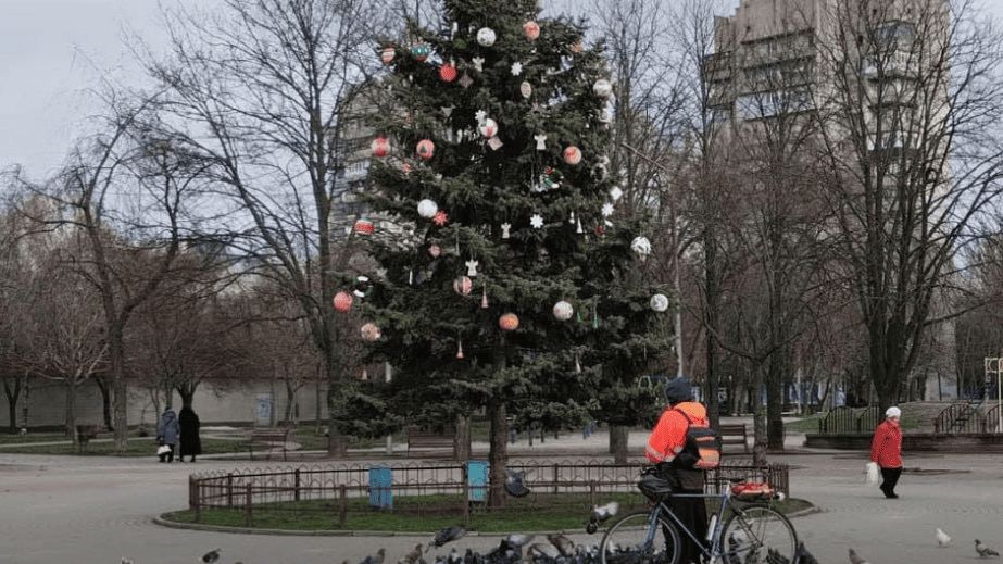 Вандалы обобрали городскую елку в Запорожье
