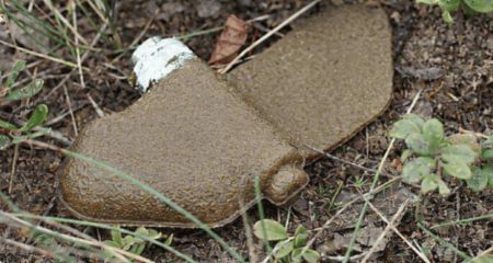 Жителів Запорізького району просять бути пильними через нову загрозу