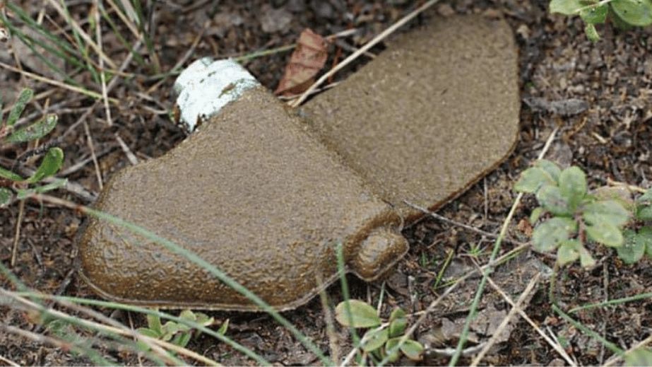 Жителей Запорожского района просят быть бдительными из-за новой угрозы