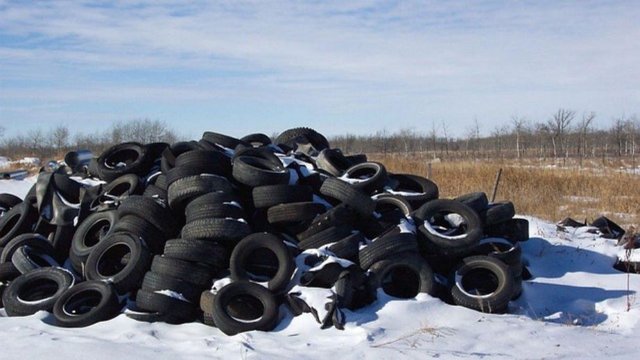 П&rsquo;ять стихійних звалищ прибрали за рік у Запорізькому районі