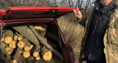 Мужчину с багажником дров поймали под Запорожьем