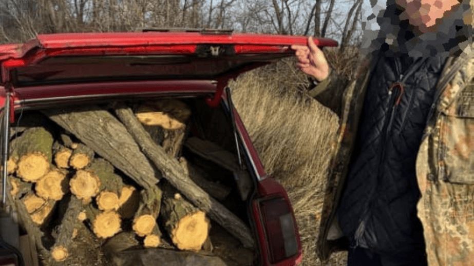 Чоловіка з багажником дров спіймали під Запоріжжям