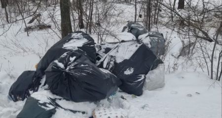Відходи просто неба: екологи натрапили на смітник під Запоріжжям