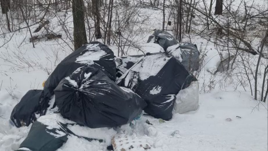 Отходы под открытым небом: экологи наткнулись на помойку под Запорожьем