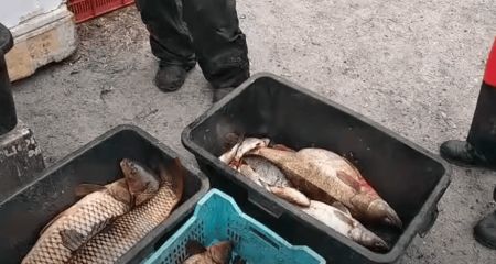 Раколовки и рыбак с сеткой: чем завершился рейд на Запорожье