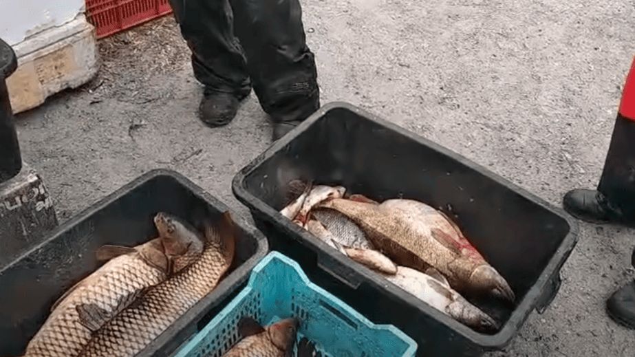 Раколовки та рибалка з сіткою: чим завершився рейд рибпатруля на Запоріжжі