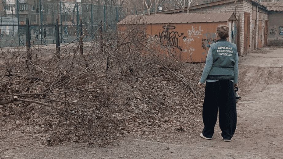 Гаражі в центрі Запоріжжя обросли сміттям: що показала перевірка