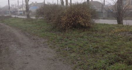 Экологи добились ликвидации нескольких свалок в Запорожье &ndash; где именно