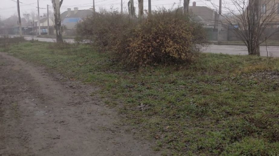 Экологи добились ликвидации нескольких свалок в Запорожье &ndash; где именно