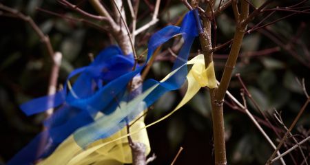 Під Запоріжжям жінка палила прапори на могилі Захисника