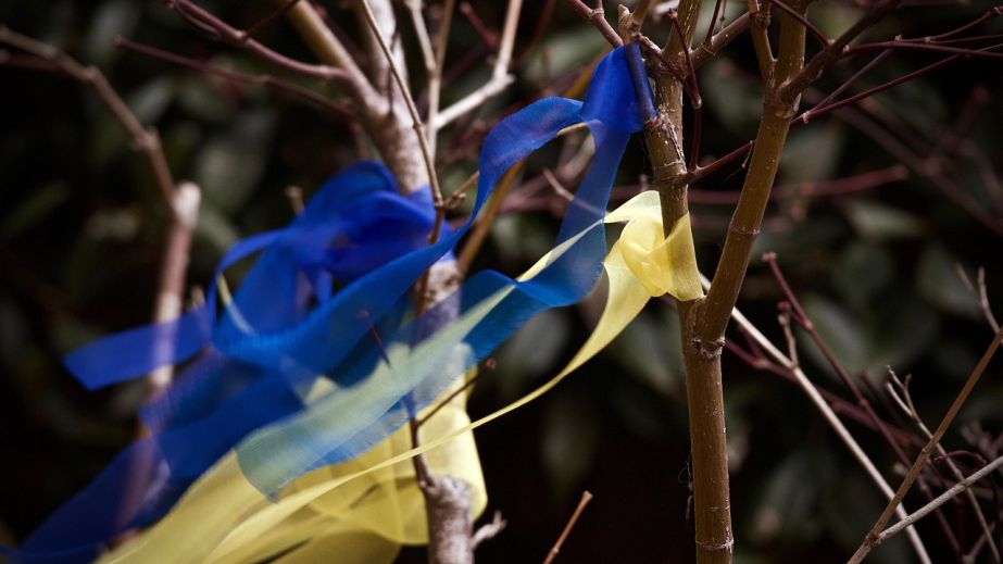 Під Запоріжжям жінка палила прапори на могилі Захисника