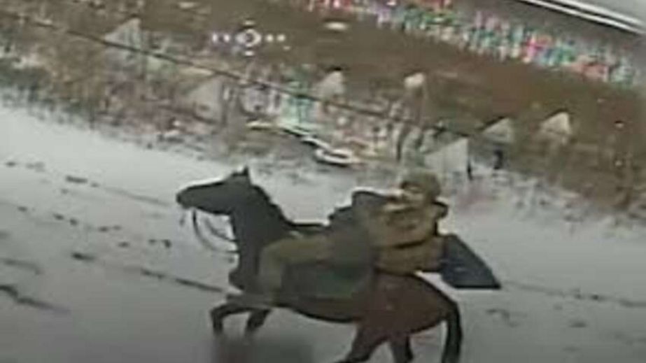 Росіяни використовують кінні групи для штурмів на Запорізькому фронті