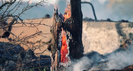 Пожежі на Запоріжжі знищили майже 11 га екосистем упродовж доби