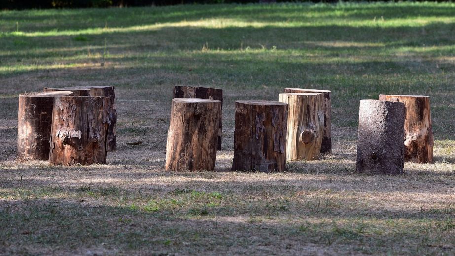 Деревья и газон удалят в Запорожье для нового проекта по отоплению