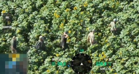 Запорожца и двух херсонцев перехватили в поле подсолнухов возле Молдовы