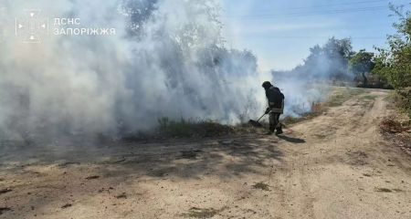 20 пожеж вирували в екосистемах на Запоріжжі &ndash; наслідки