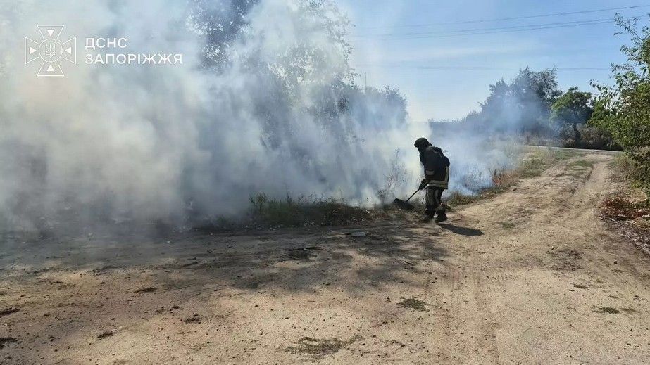 20 пожеж вирували в екосистемах на Запоріжжі &ndash; наслідки
