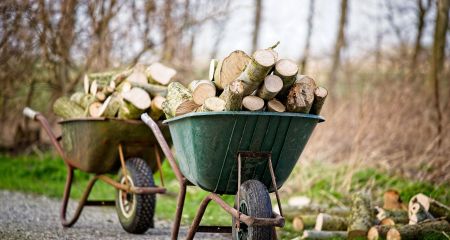 Россияне забирают дрова у местных на оккупированном Запорожье