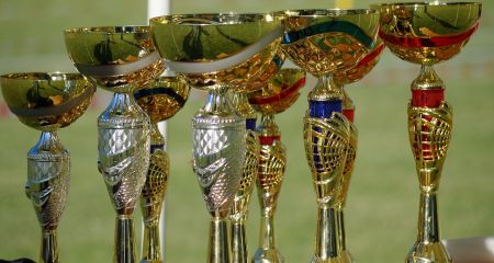 Запорізькі спортсмени здобули понад 740 нагород від початку року